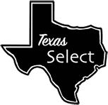 texas logo